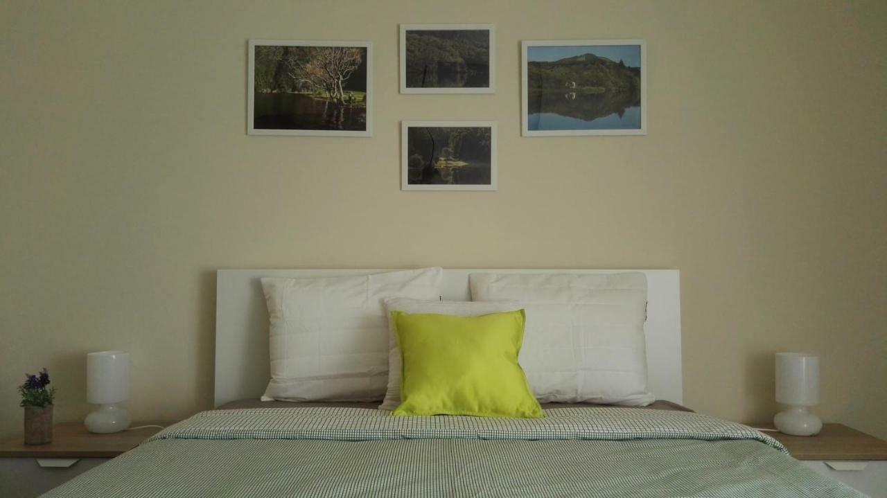 Green & Blue 3 Bedrooms ポンタ・デルガダ エクステリア 写真