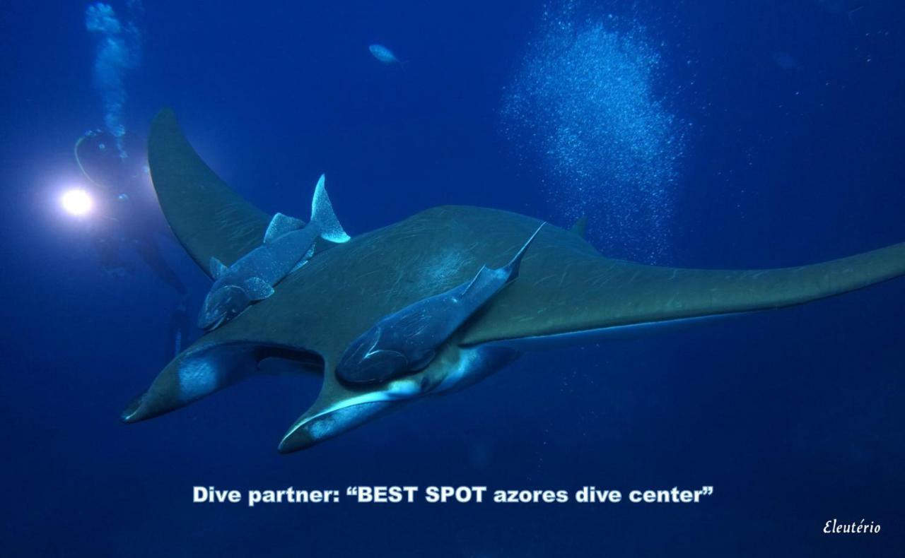 Green & Blue 3 Bedrooms ポンタ・デルガダ エクステリア 写真